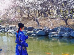 -圆明园遗址公园-藻园门售票处