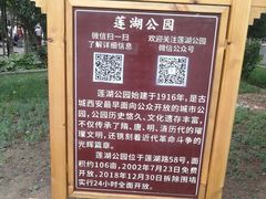 -莲湖公园