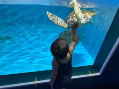 -北戴河圣蓝海洋公园