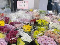 -溪岸路花鸟市场