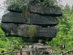-梭布垭石林景区