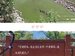 -南海子公园