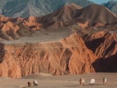-天山神秘大峡谷