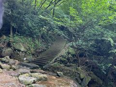 -北仑森林植物园