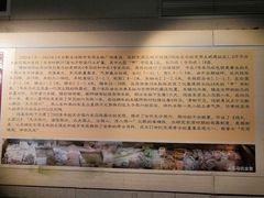 -洛阳周王城天子驾六博物馆