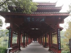 -重庆彩云湖湿地公园