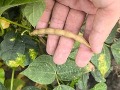 -松浦·观江国际