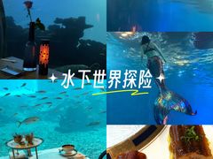 -海棠湾洲际-涛·海底餐厅·美人鱼·自助餐·海底隧道