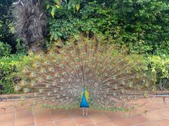 -东莞御景湾湖畔酒店·莱奥咖啡厅