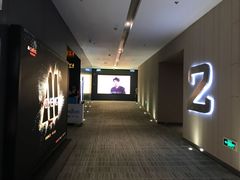 -汉阳天河电影城(王家湾店)