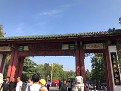 -百脉泉景区