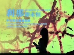 -中华赏石园