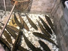 -丽江人家斑鱼火锅(保健路店)
