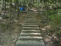 -上海佘山国家森林公园天马山园