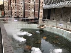 -凤阁楼果木烧鹅(鹤山陈山店)