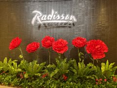 -天津水游城丽筠酒店