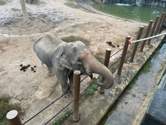 -杭州野生动物世界
