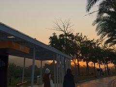 -白石龙音乐公园