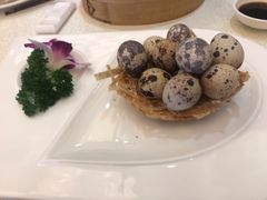 -龙悦湾酒家·八阵鱼生·渔人码头店