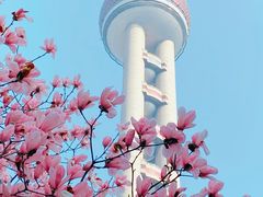 -东方明珠广播电视塔