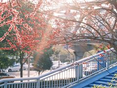-宝通禅寺