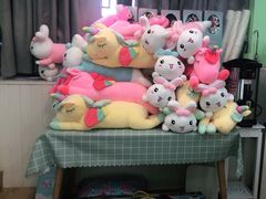 -学知乐教育·幼小衔接·小学科辅导(嘉定镇校区)