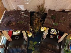 -锦上中式酒馆(南内环店)