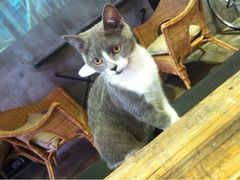 小灰-MIKAKU(万达广场上海宝山店)