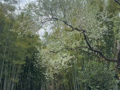 -广东温泉宾馆