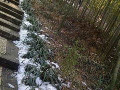 -南山风景名胜区