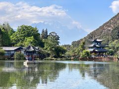-黑龙潭公园