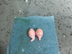 -瑞派宠物医院(锦江店)