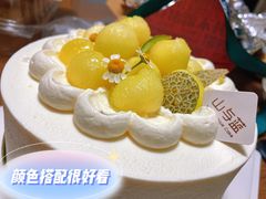 -山与蓝·轻糖鲜果蛋糕(勒泰店)