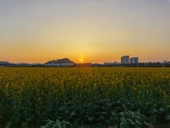 -光明小镇欢乐田园
