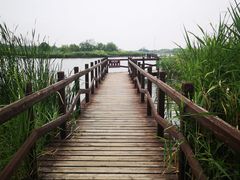-西青郊野公园