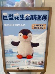 -国际蓝孩(万象城店)