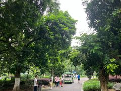 -张坝桂圆林公园