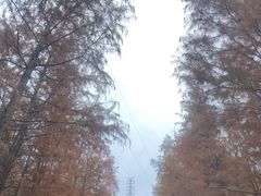 -福道