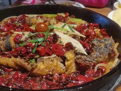 -老板恋上鱼(恒隆广场店)