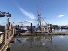 -Steveston Pizza Company (Richmond)