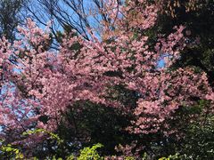 -西武百货(涩谷店)