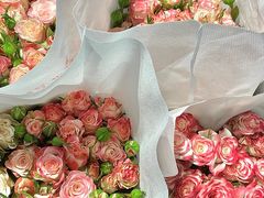 -循礼门鲜花花市(武汉循礼门店)