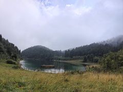 -武陵山森林公园