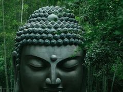 -杭州植物园