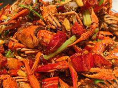 -杨氏青龙虾·羊蝎子(托乐嘉店)