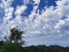 -长白岛森林公园