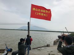 -蚝专家(北滘店)