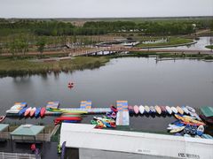 -春花秋色城市公园