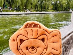 -南长河公园