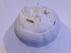 -迪拜帆船酒店海底餐厅